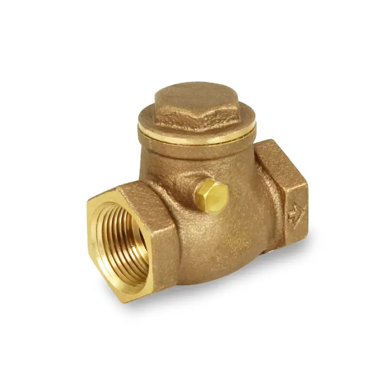 EverFlow 210T004 4 Threaded Swing Check Valve Brass