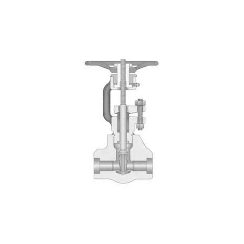 American Valve FIG.3-1/4 Valve Gate Threaded 3/4