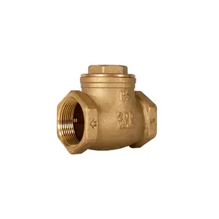 EverFlow 210T002 2 Threaded Swing Check Valve Brass Non-Potable Use Only