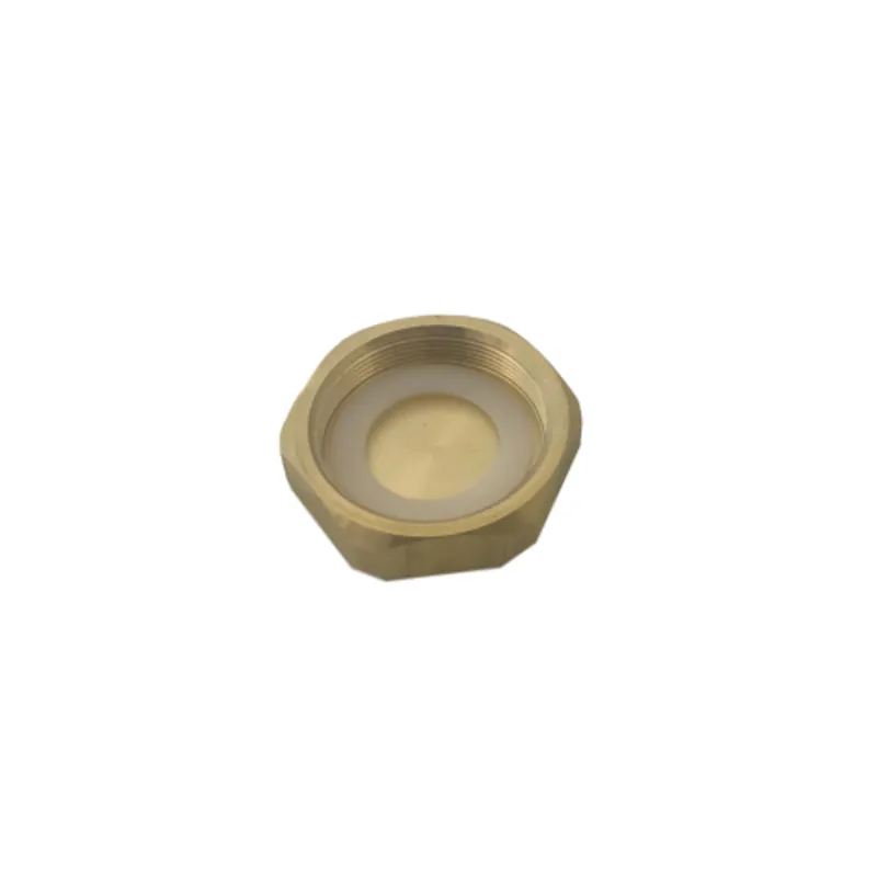 DELANY PRODUCTS 278A CAP FOR HANDLE OPENING