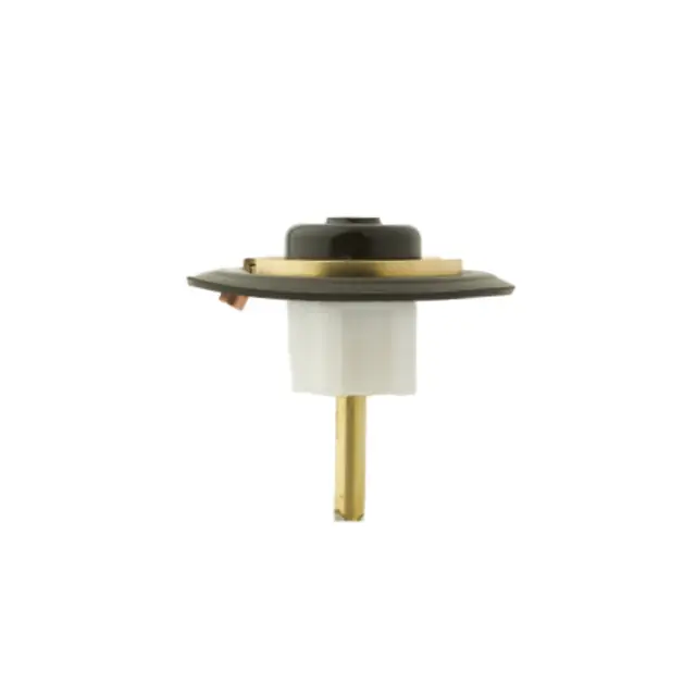 Delany Products P107-AC Diaphragm Assy. 1 Supply