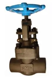 Service Metal SM820CT01.0 800# F/S Thd Globe Valve