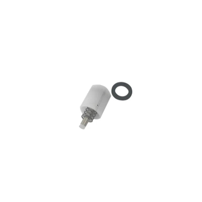 DELANY PRODUCTS 2147A Piston Assy, Internl, Delany Hydr