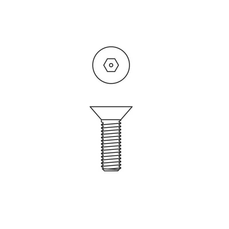 Acorn 0152-020-001 Screw, Allen, Ss, 1/4-20 X 7/16