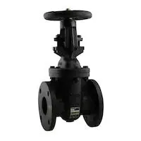 Apollo 6GA11AB1LFA Gate Valve Flange
