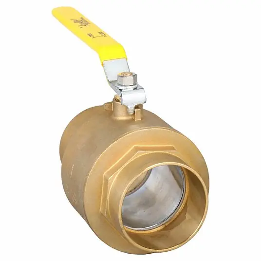 Apollo 94A20A01 SWT FP Valves