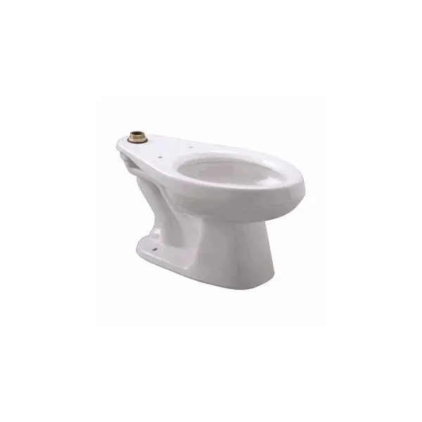 FERGUSON ENTERPRISES LLC Z5655-BWL1 Flush Valve Toilet Floor Replacement MPN