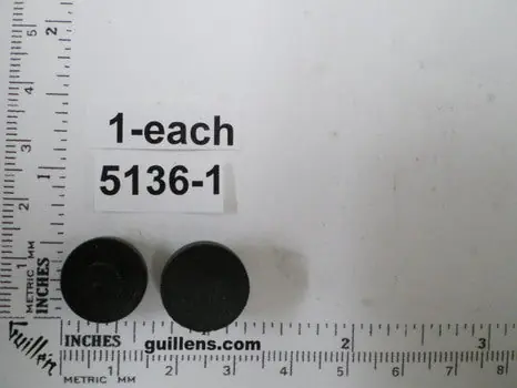 Briggs 5136 Washer, B/C Plunger