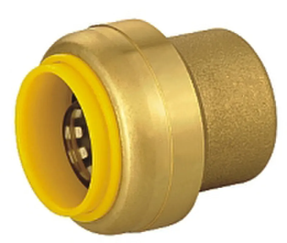 C.S.B. International Products PF-ES12 End Cap 1/2 S/Bite