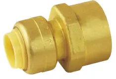 C.S.B. International Products PF-F1 1 X 1 FIP Push Fit Female Adapter
