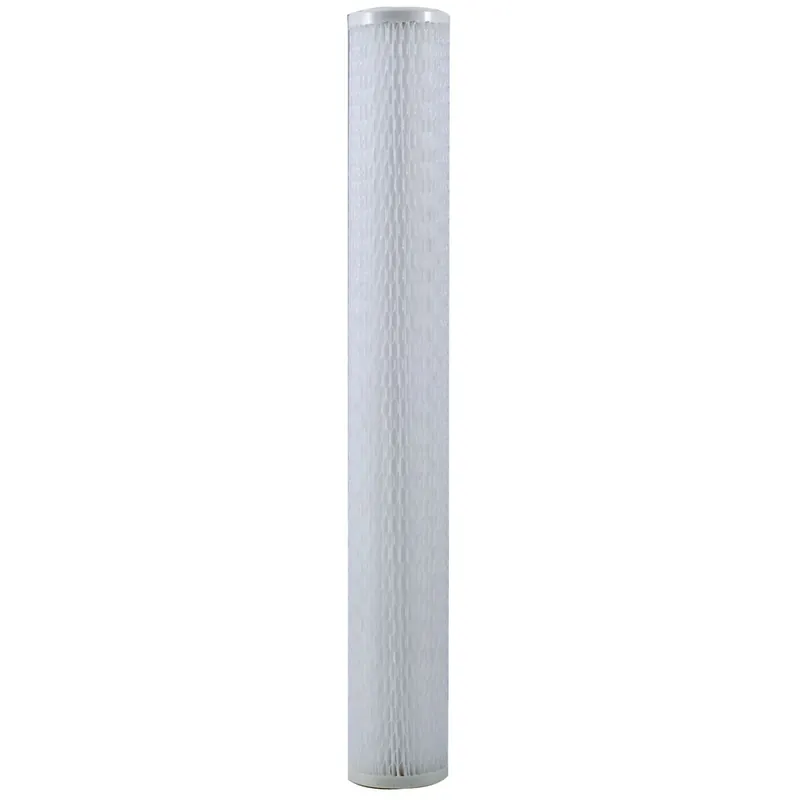 WATTS PWPL20M20 20 In 20 Micron Pleated Sediment Filter (2 3/4 IN x 20 IN)