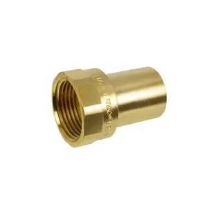 APOLLO PRESS 10075768 Female Street Adapter 3/4 in