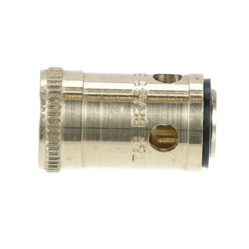 T&S Brass 009614-40 Removable Insert & Monel Seat Cold LTC