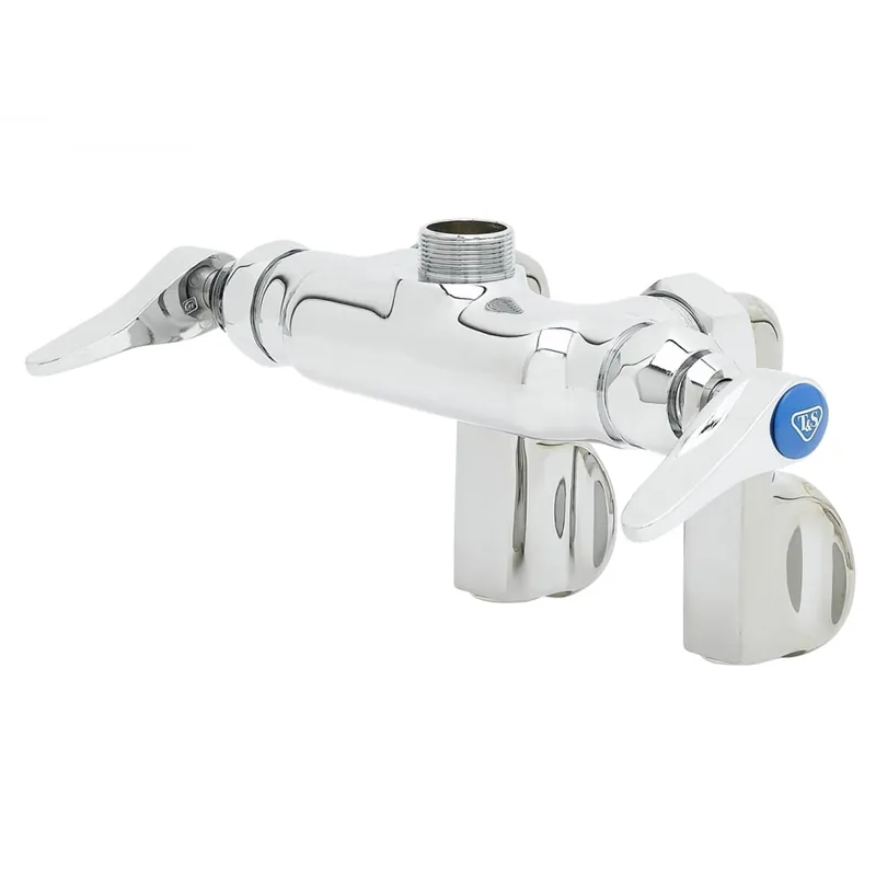 T&S Brass B-0240-LN Double Pantry Swivel Faucet, Wall Mount, Adjustable Centers, Less Nozzle