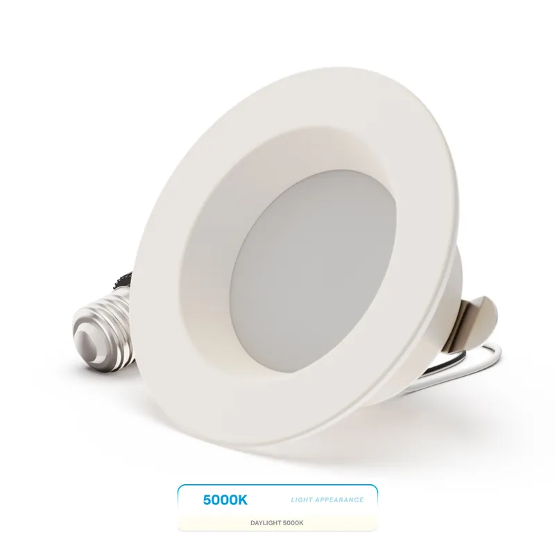 Infibrite IB-005-5-9W-WH 4 In. Retrofit 5000K LED Light