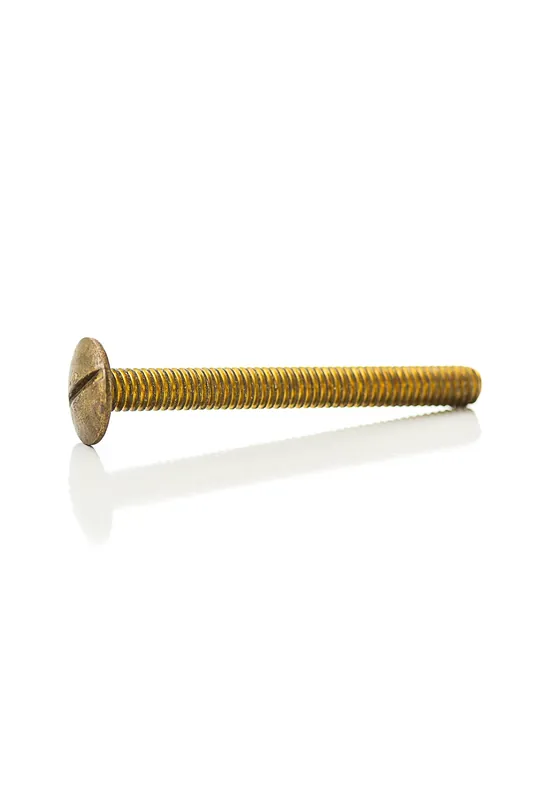 PASCO 232 5/16X3 BR Tank/Bowl Bolt
