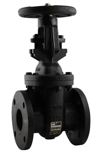 Apollo Valves 6GA10AB1LFA 4 in. Flanged x Flanged Cast Iron Gate Valve, Lead Free