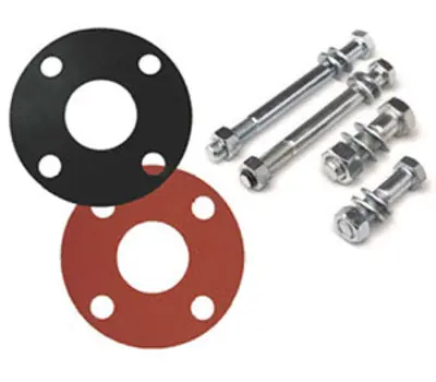 Industrial SS318-020 2 in. Stainless Steel Bolt Kit Without Gasket