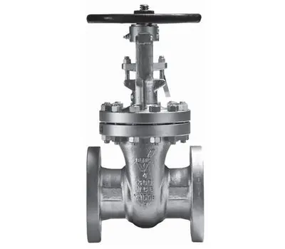BERIC VALVE 10303RFAA08H 3 in. Flanged x Flanged Cast Steel 300 PSI Raised Face Gate Valve