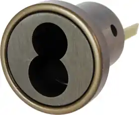 Schlage Lock 20-079613 FSIC Rim Housing Less Core Oil Rubbed Bronze