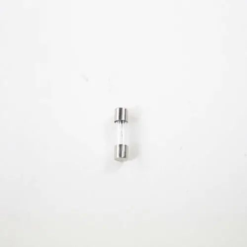 SAECO 996530025953 FUSE T15 AMP DELAY