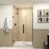MULTI VENDOR KIT PARENTS EHTB46287610C-BK-MB SHOWER DOOR POWER 46x76