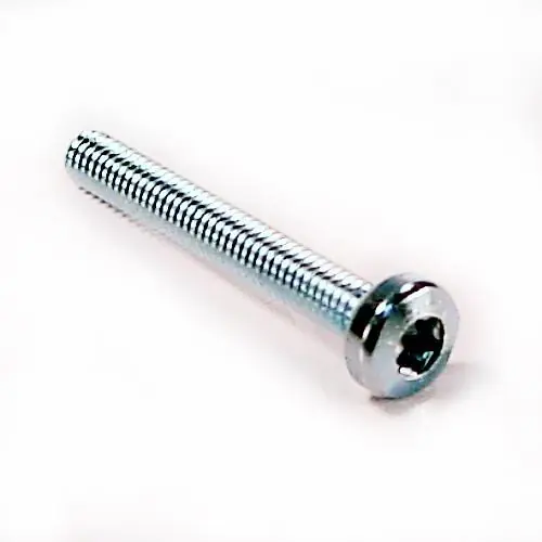 SAECO 996530012928 SCREW TCB TORX 20