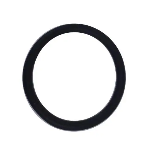 SAECO 996530072674 OR ORM 0190-20 EPDM