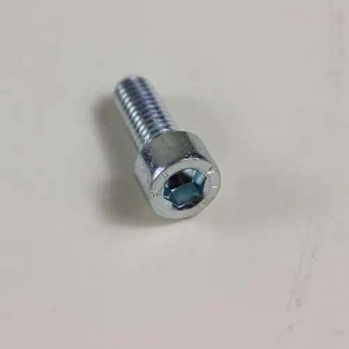SAECO 996530062189 M6X16 Zinc Screw
