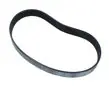 Nordictrack 260687 Drive Belt
