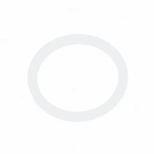 SAECO 996530050569 Mylars Washer For Ratiom