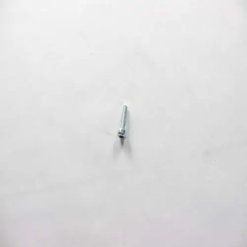 SAECO 996530013197 ROUND HEAD SCREW 1