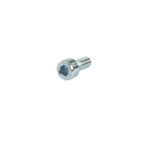 SAECO 996530062182 5X12 Galvanized Screws