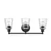 ACCLAIM IN40022BK Mae 3-Light Matte Black Van