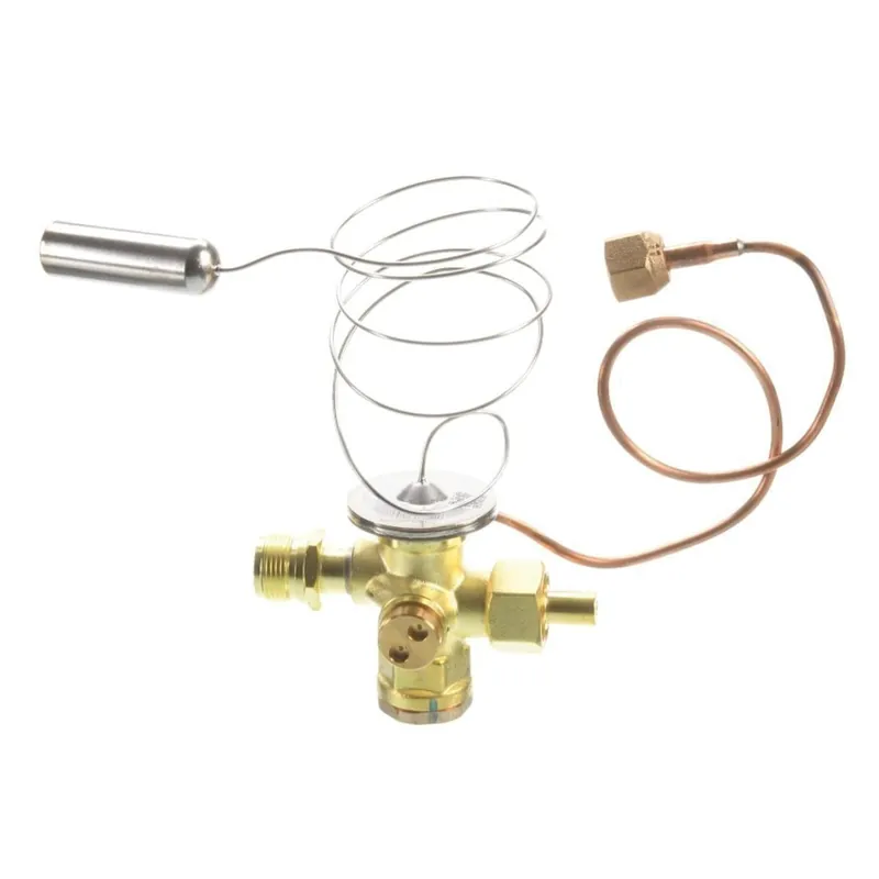 Rheem RXHQ-C60A Expansion Valve Kit (TXV)