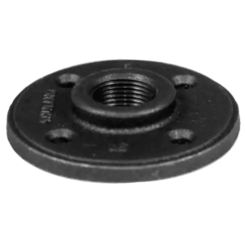 Legend Valve 350-468 2 Inches Black Floor Flange