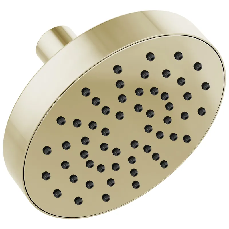 Brizo 82392-PN-2.5 Universal Showering 5 Inches Linear Round Single-Function Wall Mount Shower Head 2.5 GPM