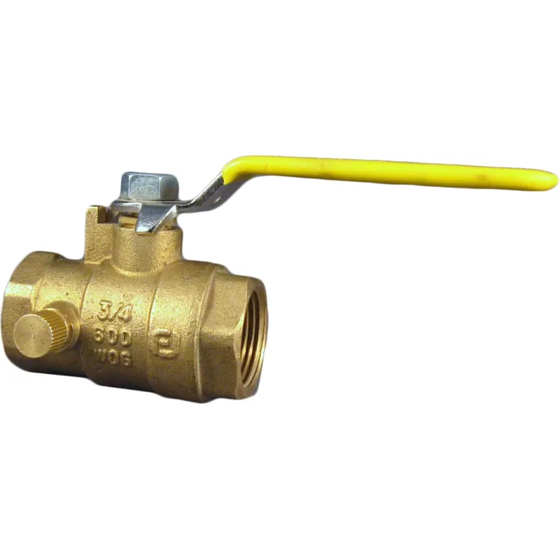 Watts IT6300 3/4 Ball Valve with Waste