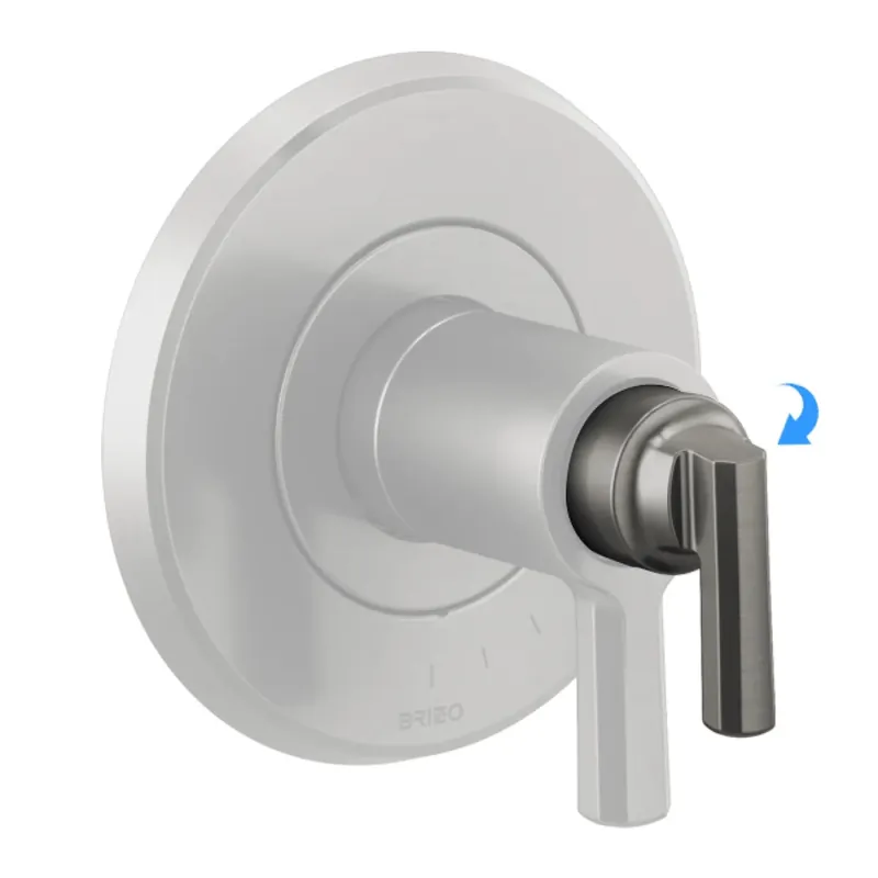 Brizo RP100426SL Handle Assembly Levoir Thermostatic Temperature 1 Lever Brilliance Luxe Steel
