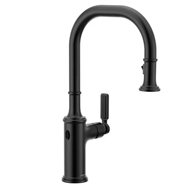 Moen 7770EWBL Product