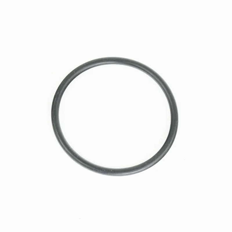Watts VWPRV1GASKET Gasket For 1 Inches Watts Prv
