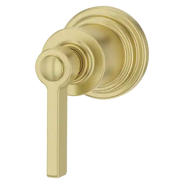 Pfister 016-WNBG 1HDL Lev 2F Div Vlv Trim Bg