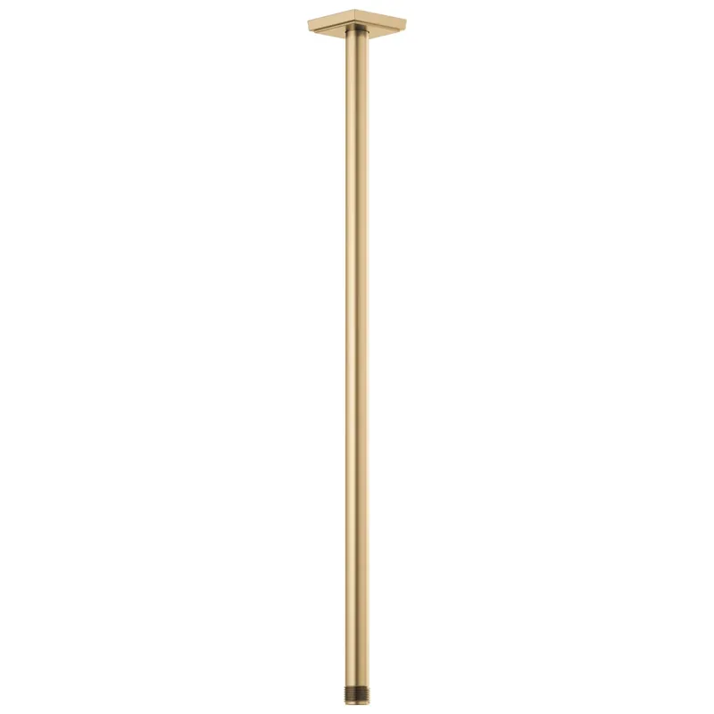 Brizo 83999-24-GL Essential 24 in Ceiling Mount Shower Arm and Flange