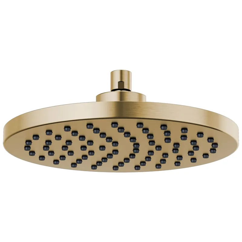 Brizo 81398-GL-2.5 Essential Single Function Showerhead 10 in.