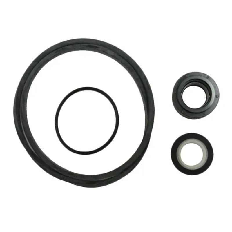 Red Lion 640235 Seal Kit RLSP-150-BI RLSP-200-BI