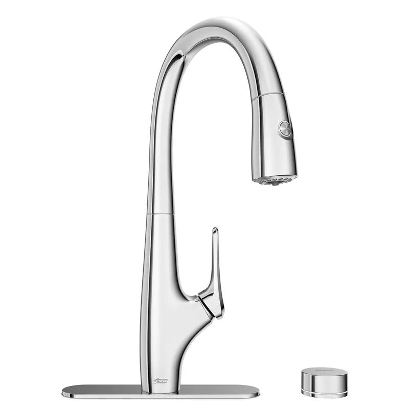 American Standard 4902330 Saybrook One-Handle Pull-Down Dual Spray Function Kitchen Faucet With Filter, 1.5 gpm