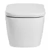 ALFI WD390 Alfi Toilet Bowl Power Wall Mounted