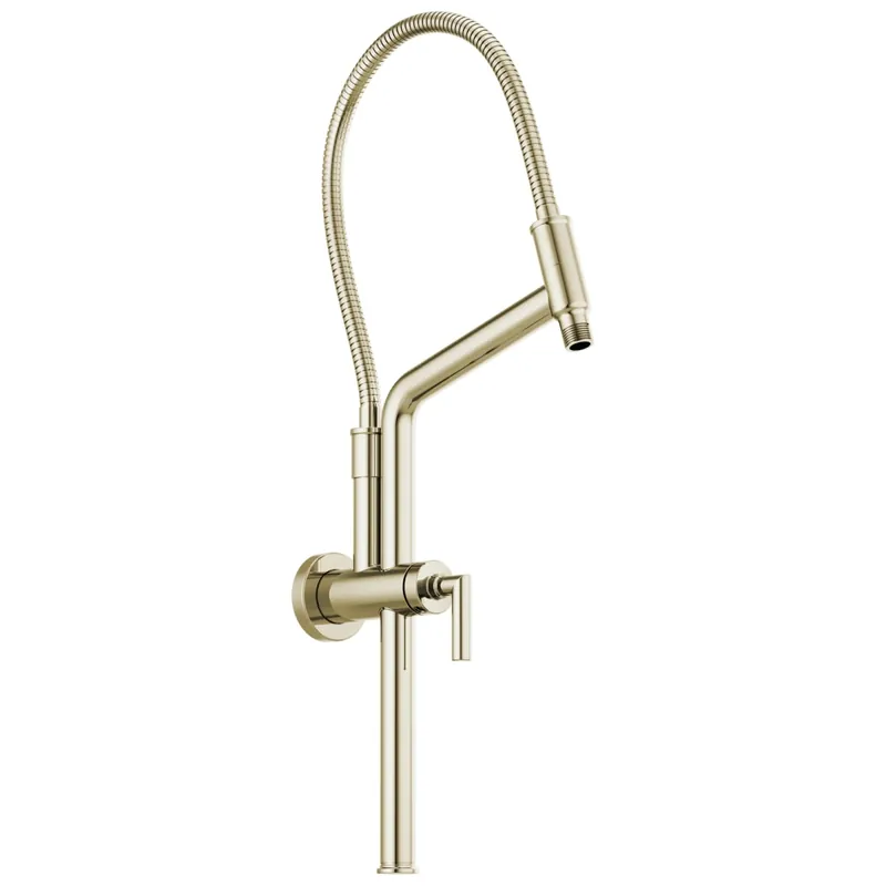 Brizo 81892-PN Universal Showering 10 7/16 inches Linear Round Slide Bar Shower Arm And Flange