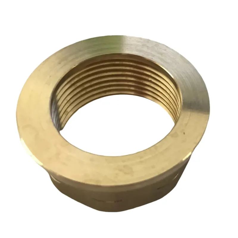 Watts VWPRV1FIP VWPRV1 1 Inches FIP Threaded PRV Union End Only