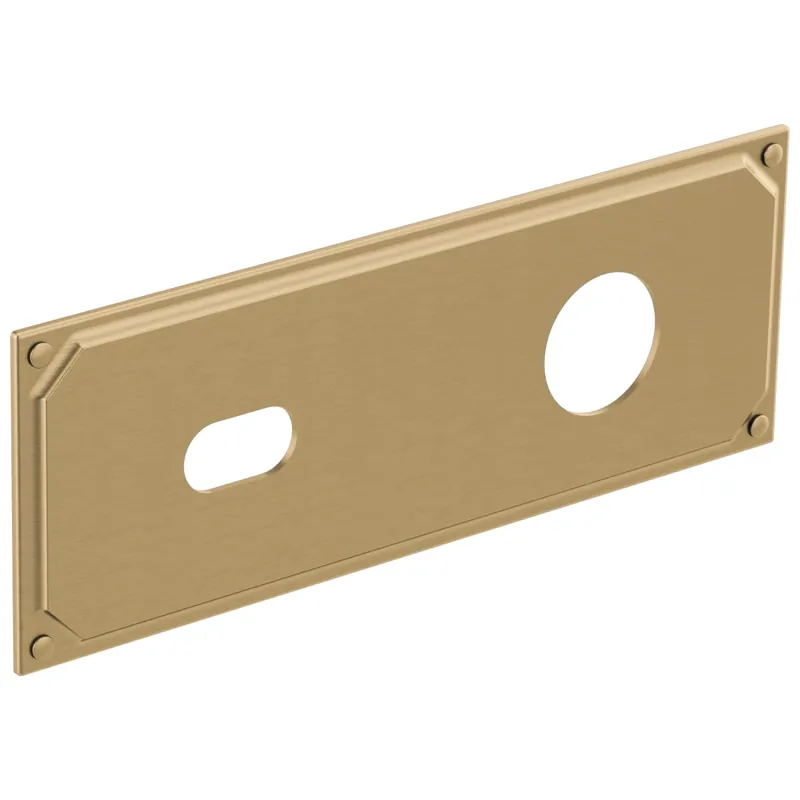 BRIZO RP100323GL Invari Zinc Escutcheon Plate for Invari T65776LF-LHP